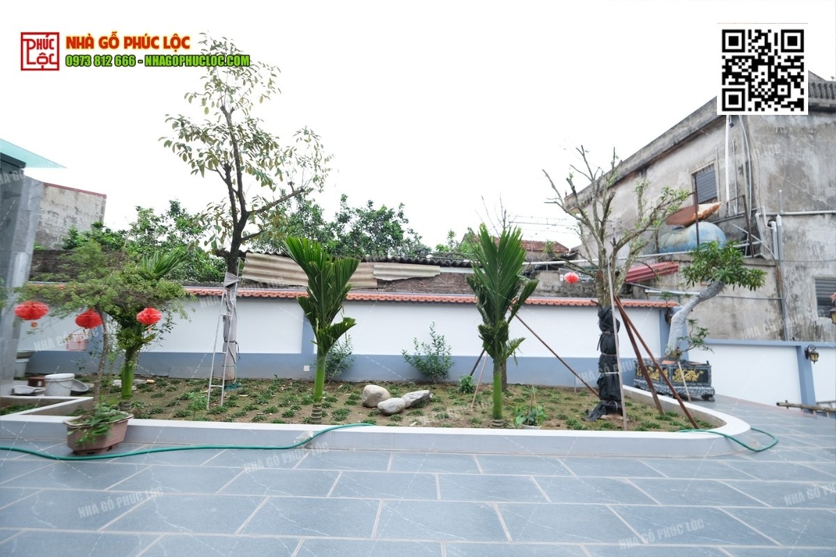 Trồng cây cau cảnh trước nhà gỗ có thu hút tài lộc không?