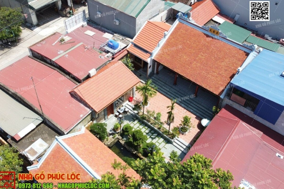 Kích thước cây cau cảnh phù hợp