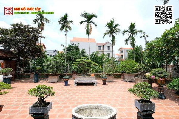 Vị trí trồng cây cau cảnh trước nhà gỗ đẹp